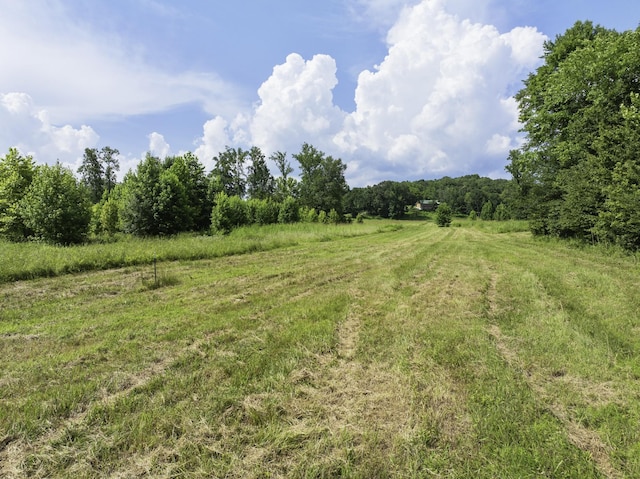 2210 Haynes Rd, Sugar Tree, TN 38380 - photo 15