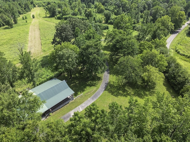 2210 Haynes Rd, Sugar Tree, TN 38380 - photo 19