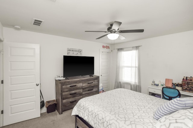 817 Old Blue Ln, Murfreesboro, TN 37130 - photo 33