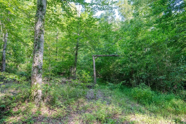 0 Story Rd, Westpoint, TN 38486 - photo 12