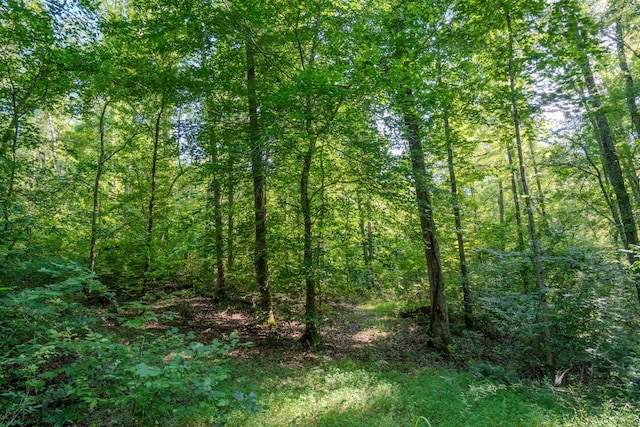 0 Story Rd, Westpoint, TN 38486 - photo 10