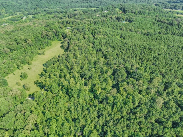 0 Story Rd, Westpoint, TN 38486 - photo 4
