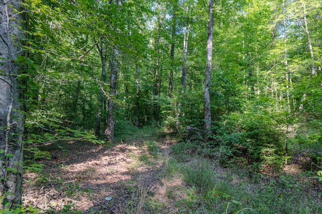0 Story Rd, Westpoint, TN 38486 - photo 11