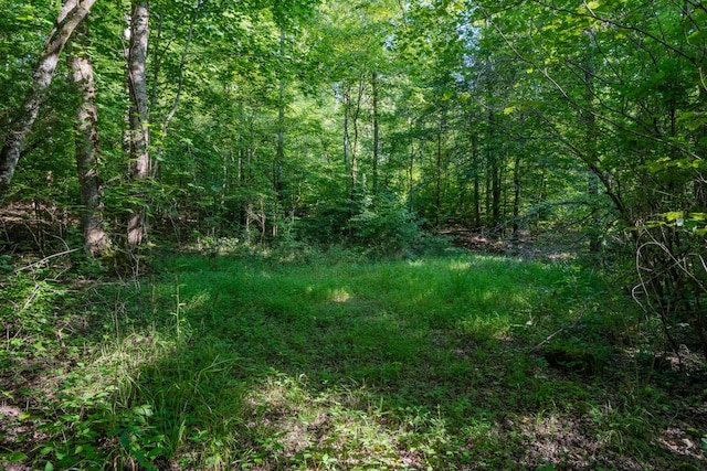 0 Story Rd, Westpoint, TN 38486 - photo 8