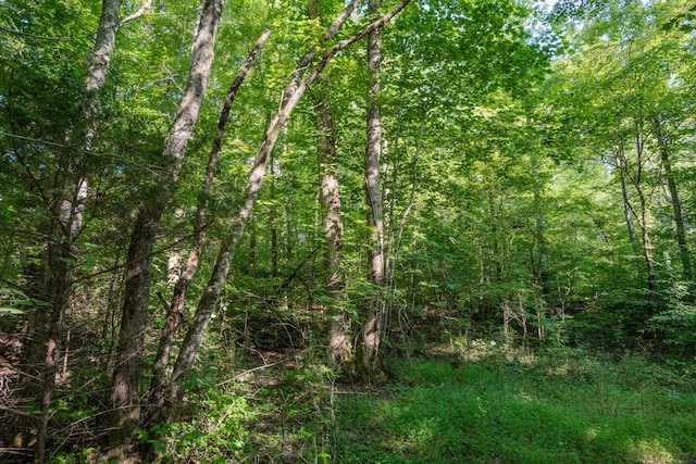0 Story Rd, Westpoint, TN 38486 - photo 9