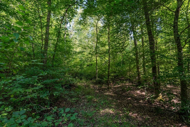 0 Story Rd, Westpoint, TN 38486 - photo 13