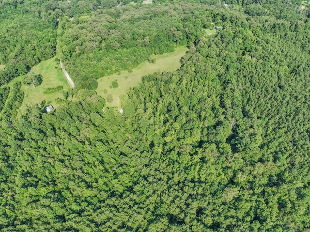 0 Story Rd, Westpoint, TN 38486 - photo 3