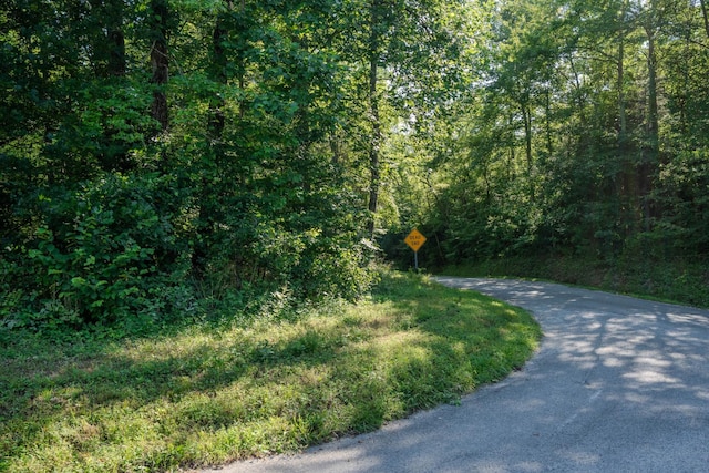 0 Story Rd, Westpoint, TN 38486 - photo 6