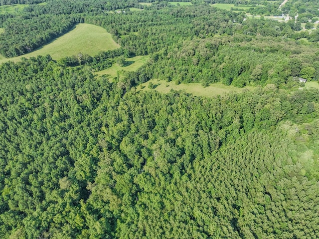 0 Story Rd, Westpoint, TN 38486 - photo 5