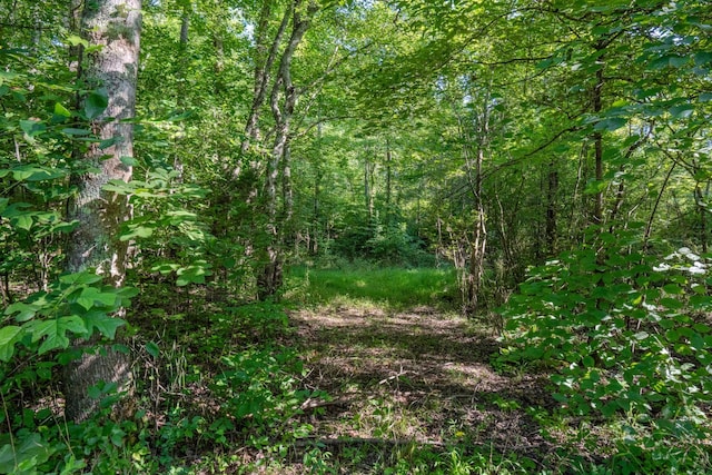 0 Story Rd, Westpoint, TN 38486 - photo 7