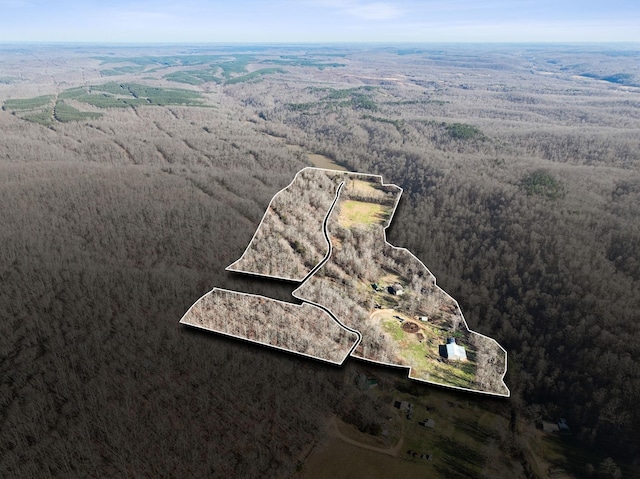 1208 Little Spring Creek Rd, Linden, TN 37096 - photo 3