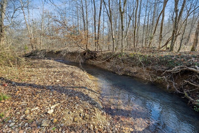 1208 Little Spring Creek Rd, Linden, TN 37096 - photo 35