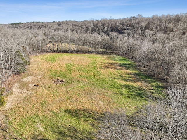 1208 Little Spring Creek Rd, Linden, TN 37096 - photo 45
