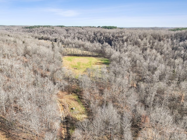 1208 Little Spring Creek Rd, Linden, TN 37096 - photo 44