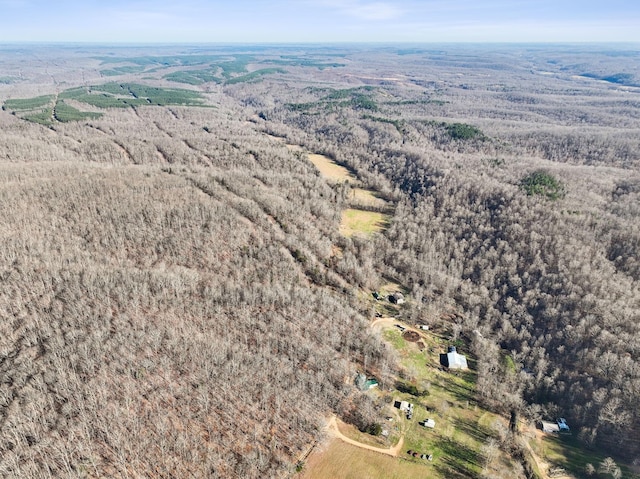 1208 Little Spring Creek Rd, Linden, TN 37096 - photo 59