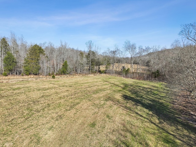 1208 Little Spring Creek Rd, Linden, TN 37096 - photo 49
