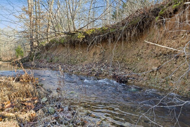 1208 Little Spring Creek Rd, Linden, TN 37096 - photo 37