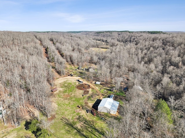 1208 Little Spring Creek Rd, Linden, TN 37096 - photo 60