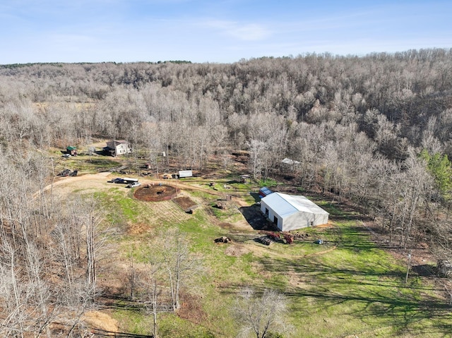 1208 Little Spring Creek Rd, Linden, TN 37096 - photo 2