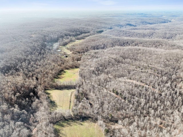 1208 Little Spring Creek Rd, Linden, TN 37096 - photo 47