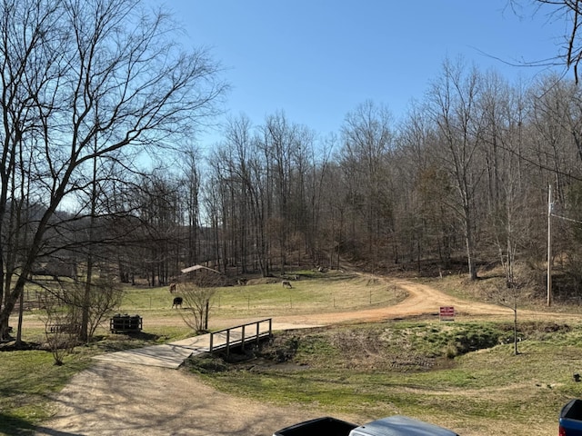 1208 Little Spring Creek Rd, Linden, TN 37096 - photo 69
