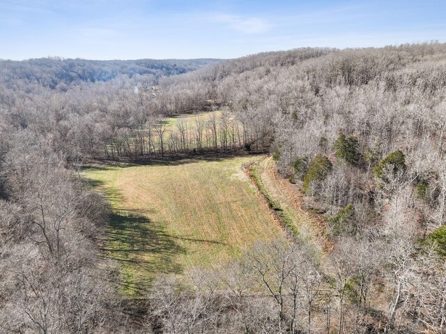 1208 Little Spring Creek Rd, Linden, TN 37096 - photo 46