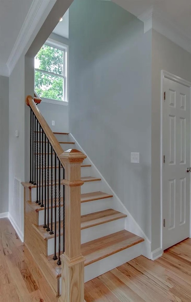 3210 Anderson Pl, Nashville, TN 37216 - photo 10