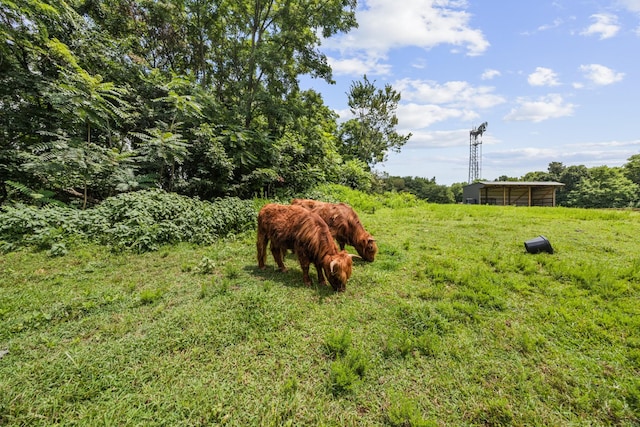 1401 Theta Pike, Columbia, TN 38401 - photo 6