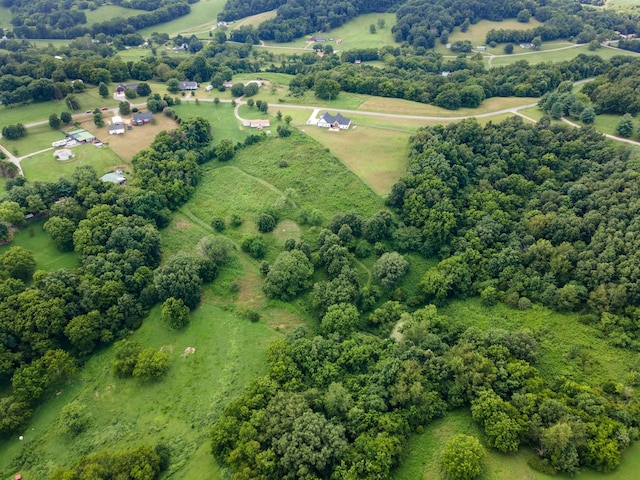 261 Milky Way Dr, Pulaski, TN 38478 - photo 38