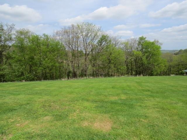 261 Milky Way Dr, Pulaski, TN 38478 - photo 49