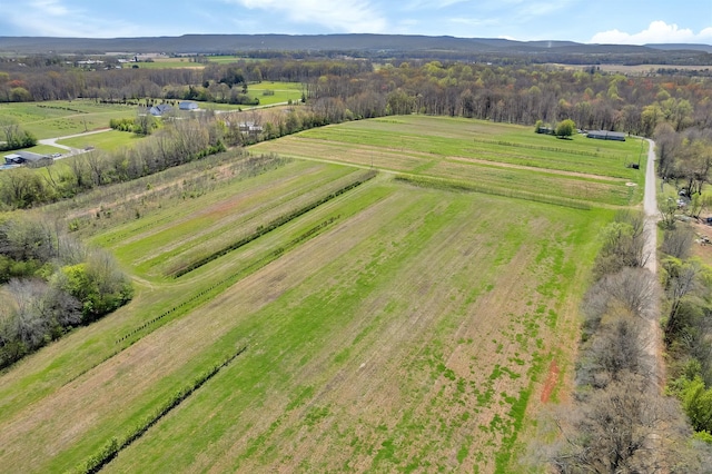 0 Haddon Ln, Winchester, TN 37398 - photo 12
