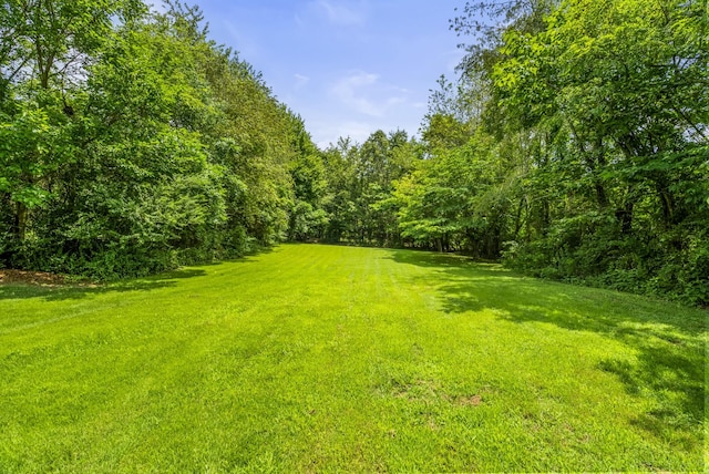 3240 Academy Rd, Portland, TN 37148 - photo 37