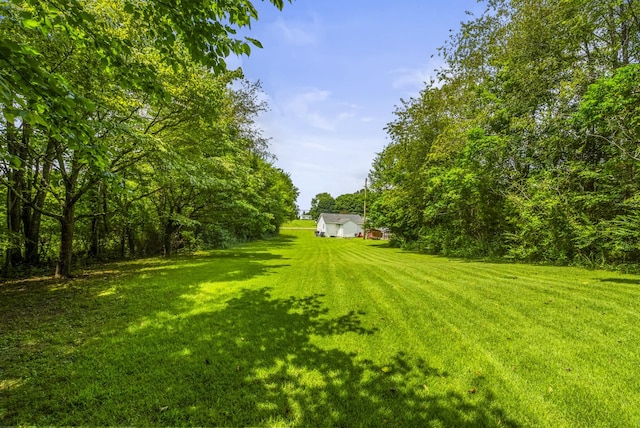 3240 Academy Rd, Portland, TN 37148 - photo 36