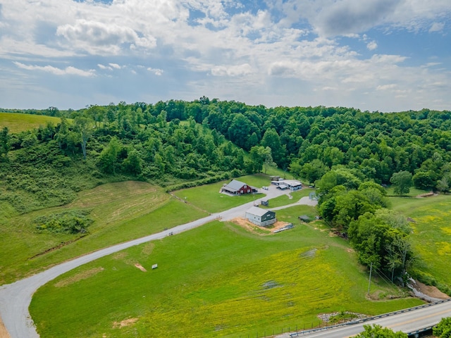 14035 Campbellsville Rd, Lynnville, TN 38472 - photo 19