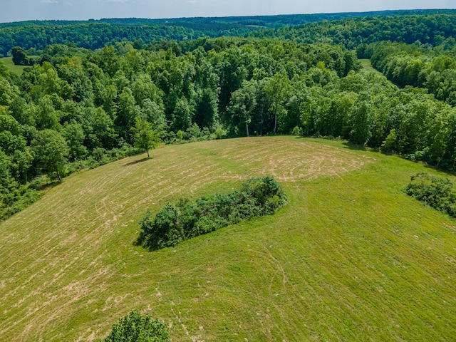 14035 Campbellsville Rd, Lynnville, TN 38472 - photo 17