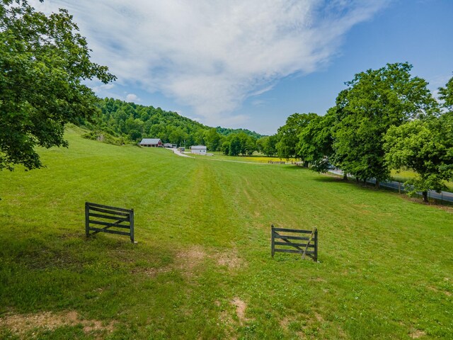 14035 Campbellsville Rd, Lynnville, TN 38472 - photo 11