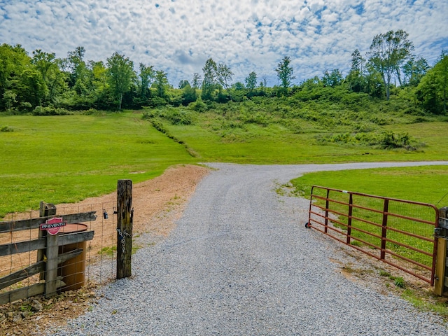 14035 Campbellsville Rd, Lynnville, TN 38472 - photo 14