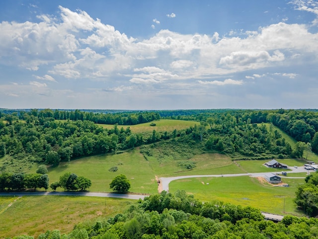 14035 Campbellsville Rd, Lynnville, TN 38472 - photo 18