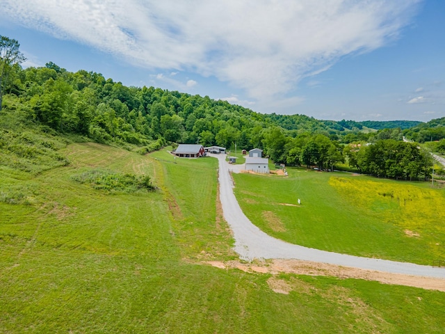 14035 Campbellsville Rd, Lynnville, TN 38472 - photo 13