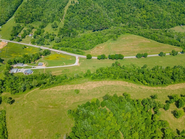 14035 Campbellsville Rd, Lynnville, TN 38472 - photo 16