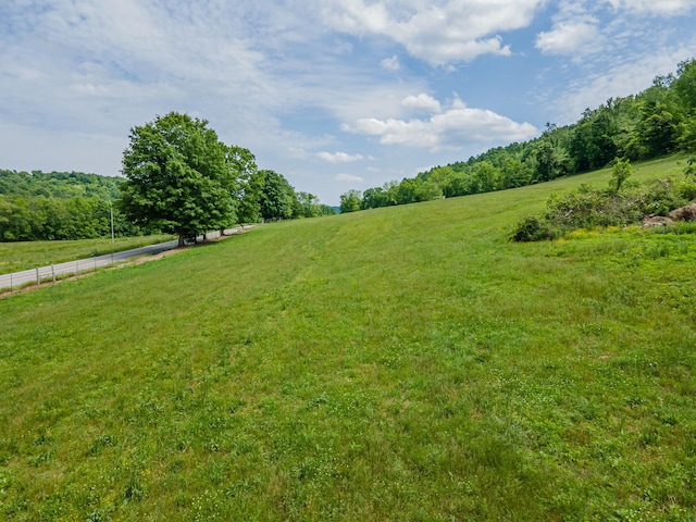 14035 Campbellsville Rd, Lynnville, TN 38472 - photo 12