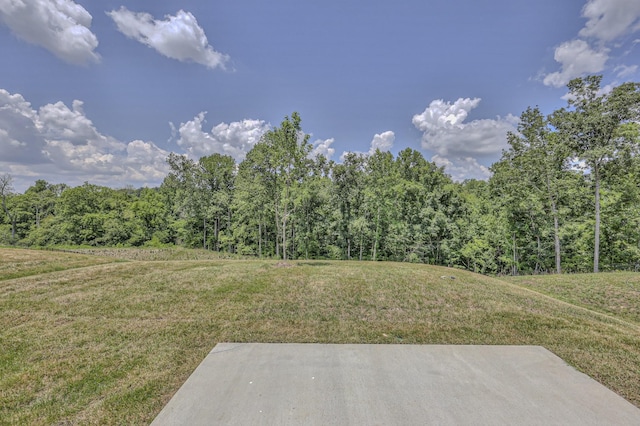 1914 Mahala Dr, Hermitage, TN 37076 - photo 41