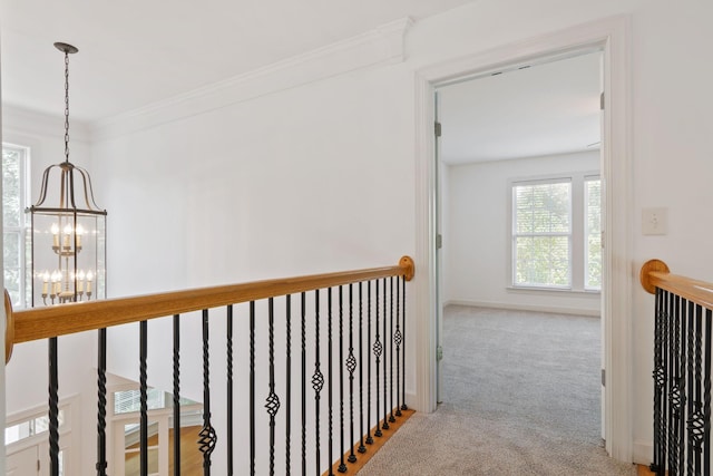 3020 Coral Bell Ln, Franklin, TN 37067 - photo 62