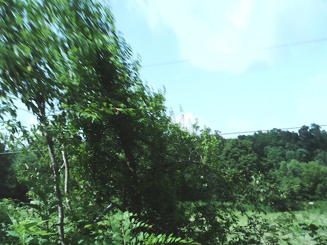 124 Hayes Fork Creek Rd, Dover, TN 37058 - photo 18