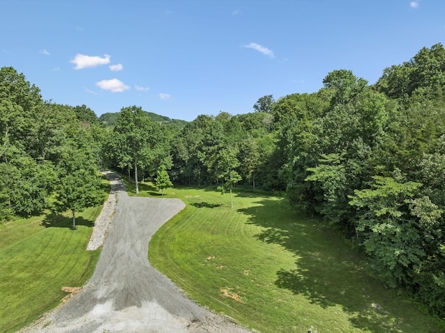 3148 Mcmillan, Franklin, TN 37064 - photo 7