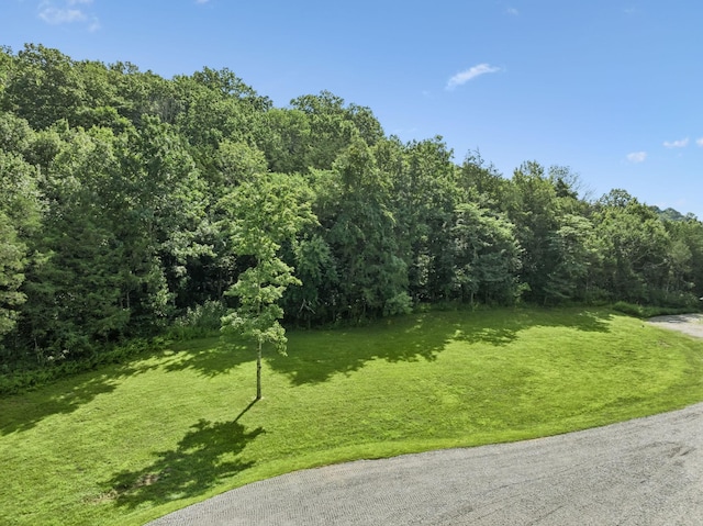 3148 Mcmillan, Franklin, TN 37064 - photo 9
