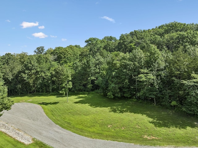 3148 Mcmillan, Franklin, TN 37064 - photo 8