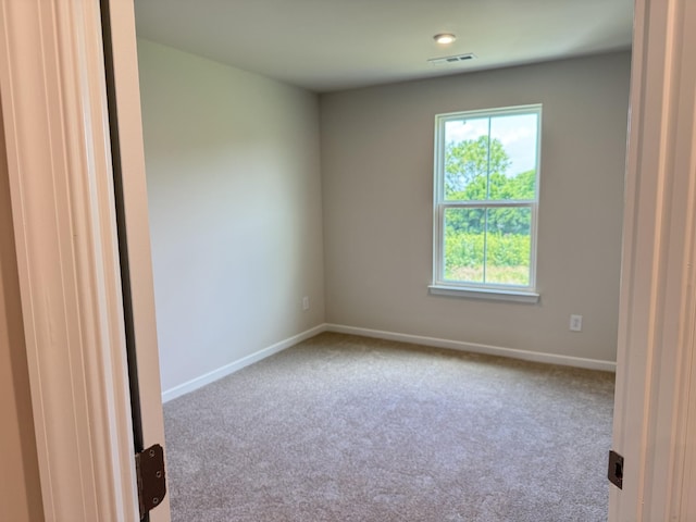 173 Primrose Ln, Gallatin, TN 37066 - photo 25