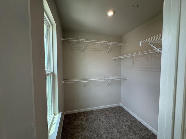 173 Primrose Ln, Gallatin, TN 37066 - photo 20
