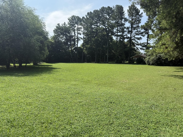 136 W Clearview Dr, Murfreesboro, TN 37128 - photo 4